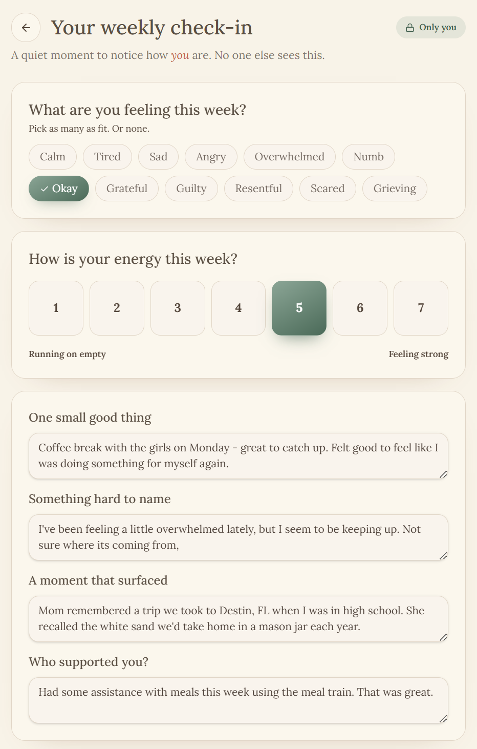 Private weekly caregiver check-in — feelings, energy, and small reflections